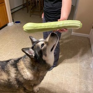 Meet your Posher, Aaron